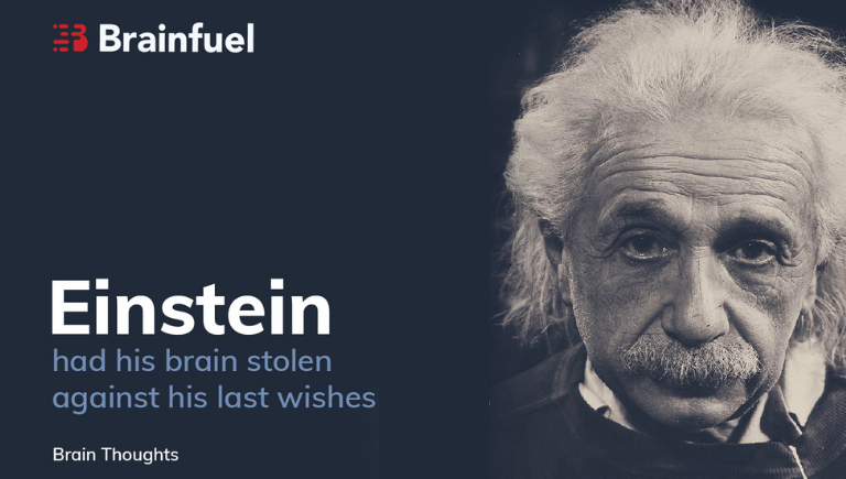 Einstein Brain stolen Brainfuel brain thoughts